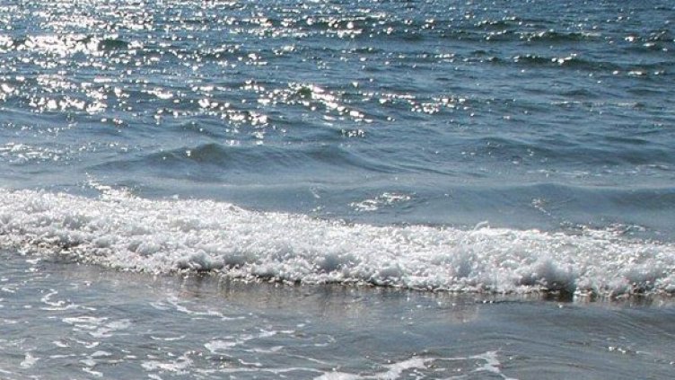 Снимка: Булфото