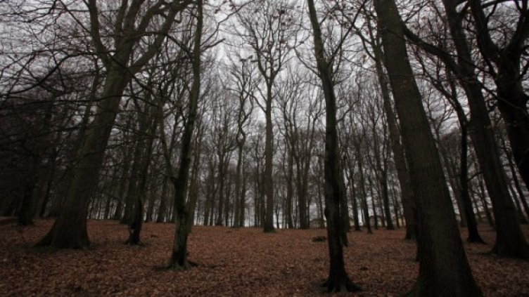 Снимка: Getty Images/Guliver Photos