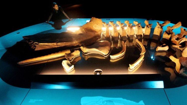 Снимка: Getty Images/Guliver Photos