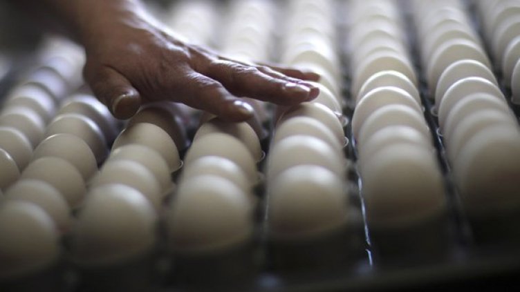 Снимка: Getty Images/Guliver Photos