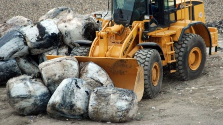 Снимка: Архив Булфото