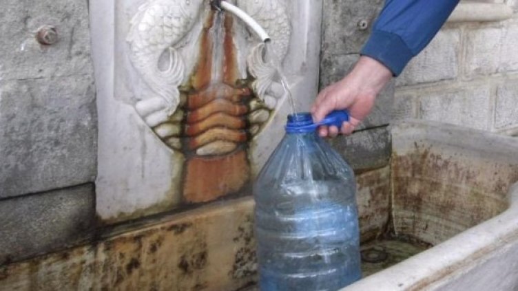 Снимка: Архив Булфото