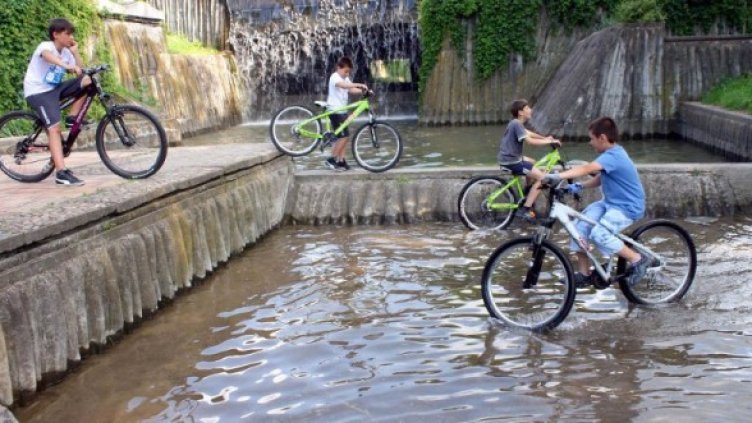 Снимка: Булфото