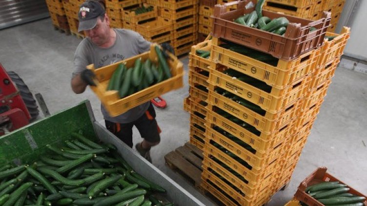 Снимка: Getty Images/Guliver Photos