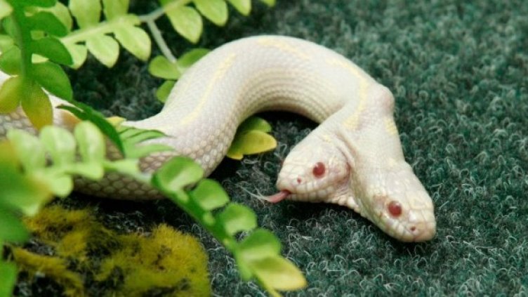 Снимка: Reuters