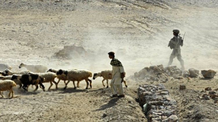 Снимка: Getty Images/Guliver Photos