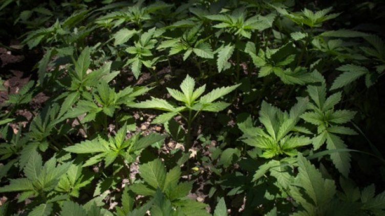 Снимка: Getty Images/Guliver Photos