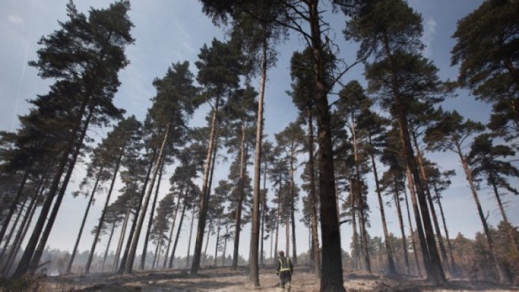 Снимка: Getty Images/Guliver Photos