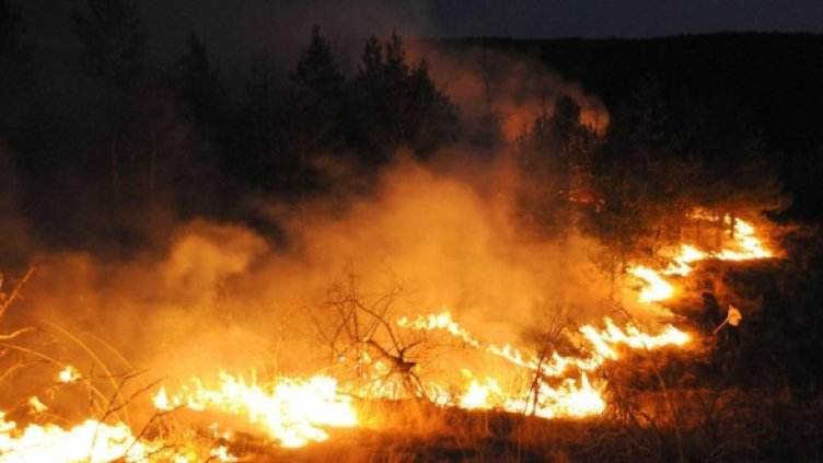 Снимка: Булфото