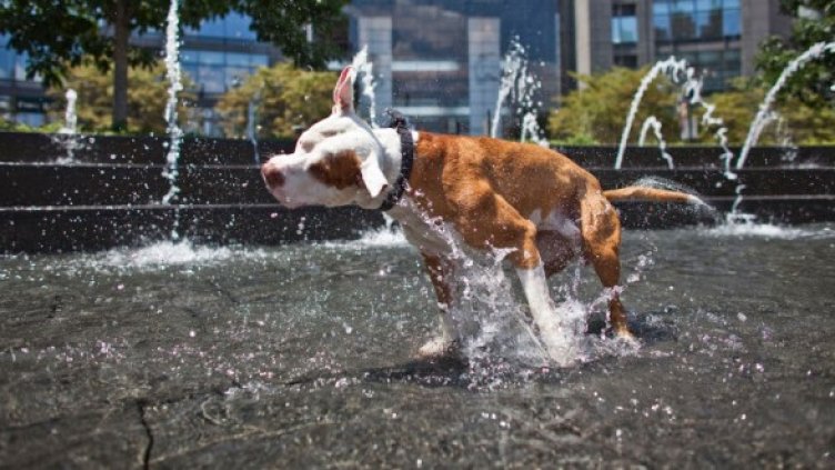 Снимка: Getty Images/Guliver Photos