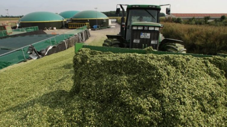 Снимка: Getty Images/Guliver Photos