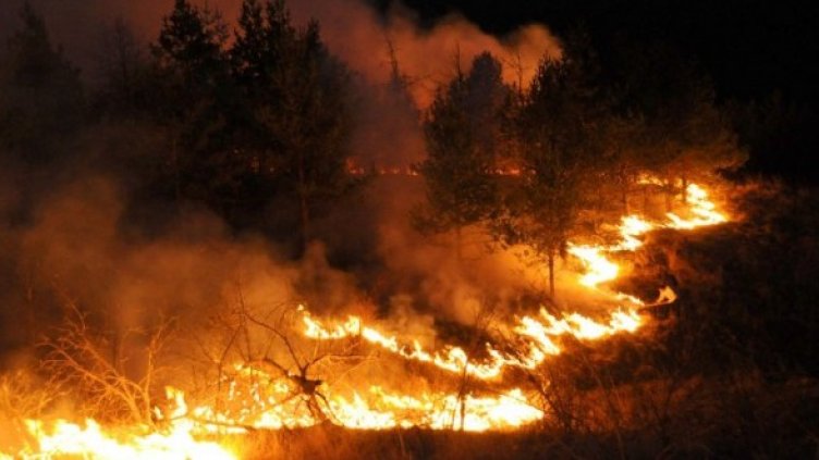 Снимка: Архив Булфото