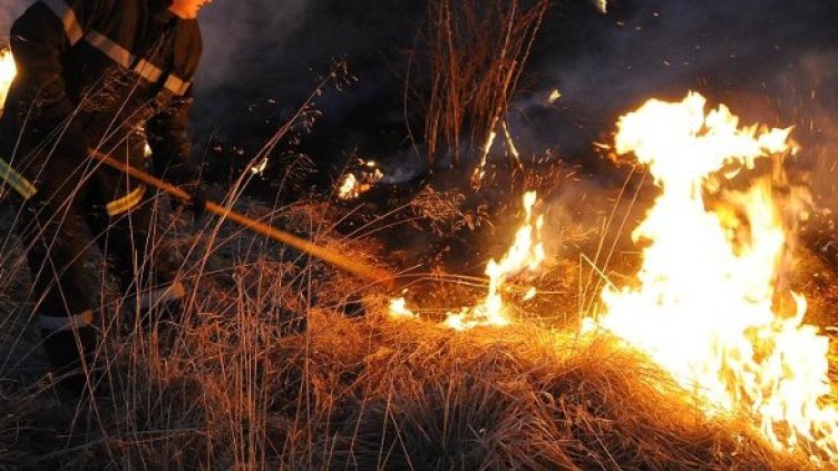 Снимка: архив, Булфото