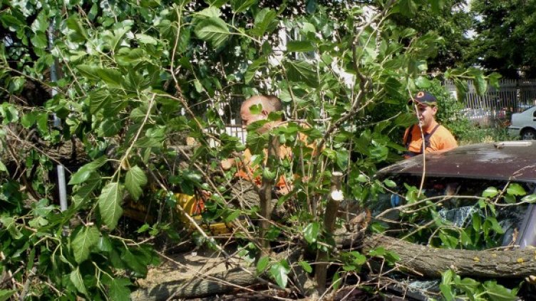 Снимка: архив, БТА