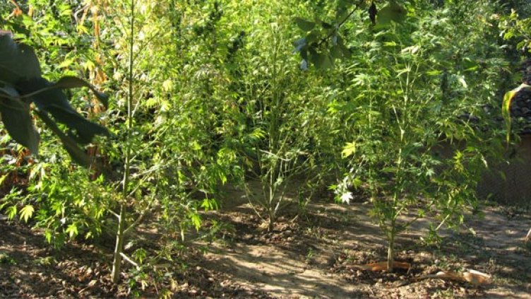 Снимка: МВР