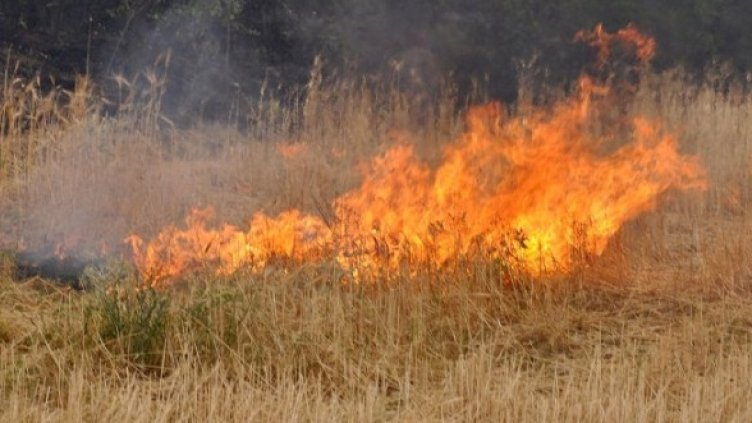 Снимка: Архив Булфото