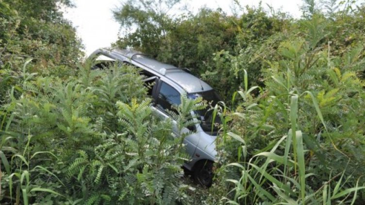 Снимка: Булфото