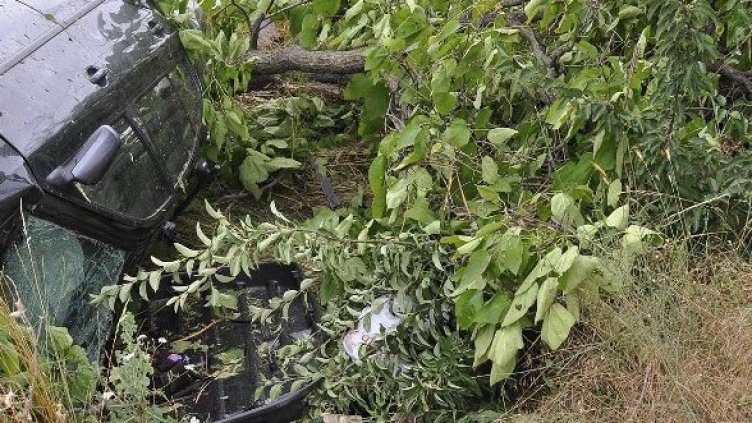 Снимка: Булфото