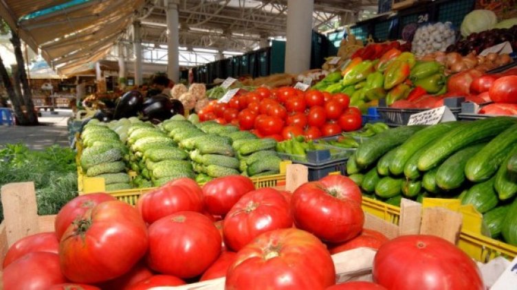 Снимка: Булфото