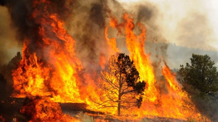 Снимка: Getty Images/Guliver Photos