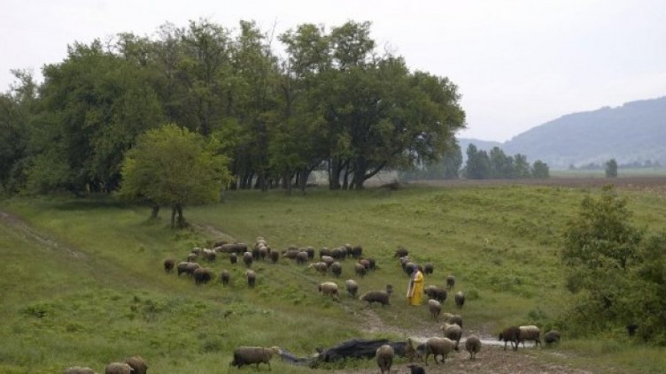 Снимка: Булфото