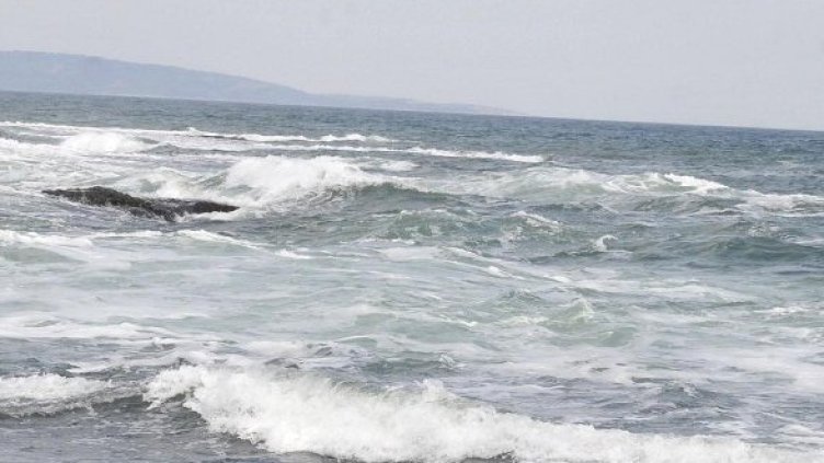 Снимка: архив Булфото