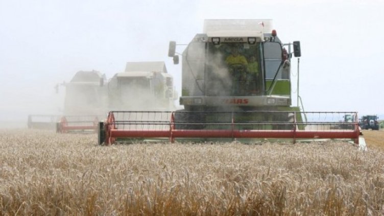 Снимка: Булфото