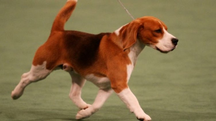 Снимка: Архив Getty Images/Guliver Photos