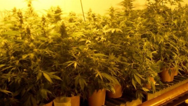 Снимка: Булфото