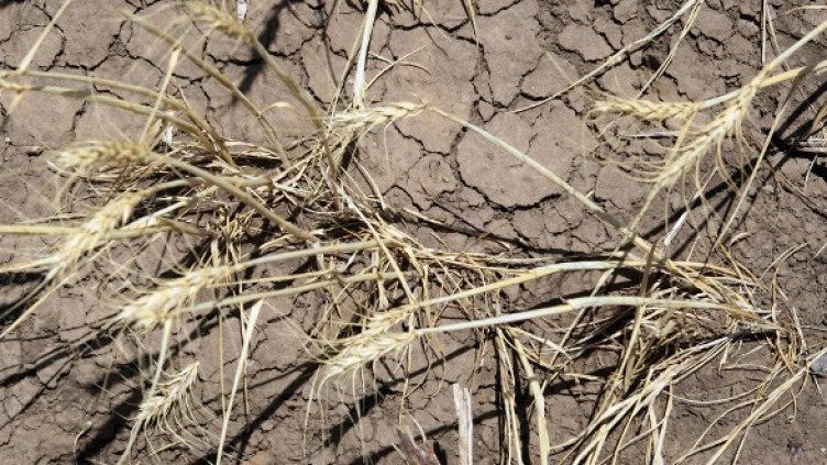 Снимка: Getty Images/Guliver Photos