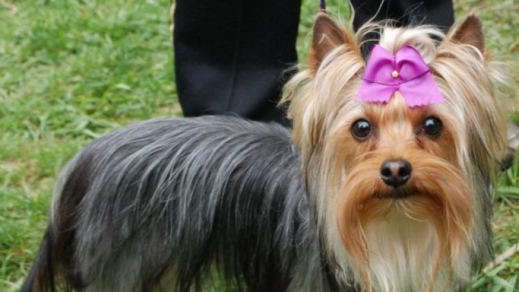 Снимка: Булфото