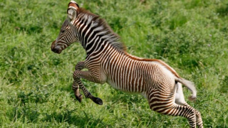 Снимка: Getty Images/Guliver Photos