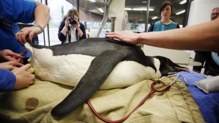 Снимка: Getty Images/Guliver Photos