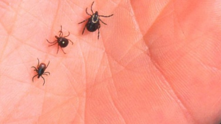 Снимка: Getty Images/Guliver Photos