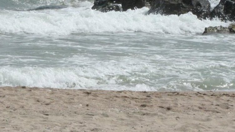 Снимка: Архив, Булфото