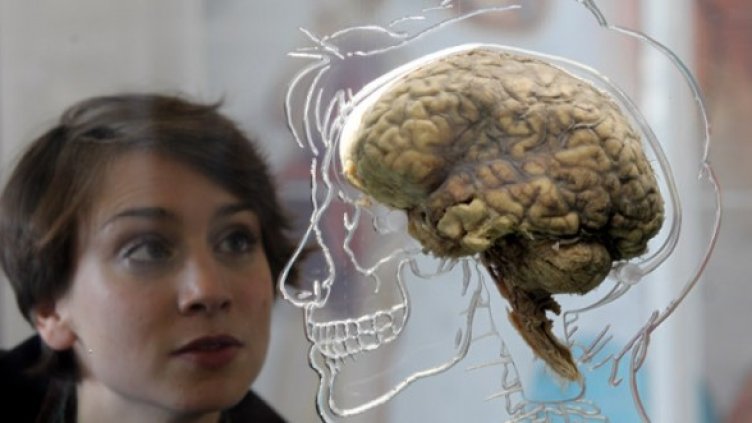 Снимка: Getty Images/Guliver Photos