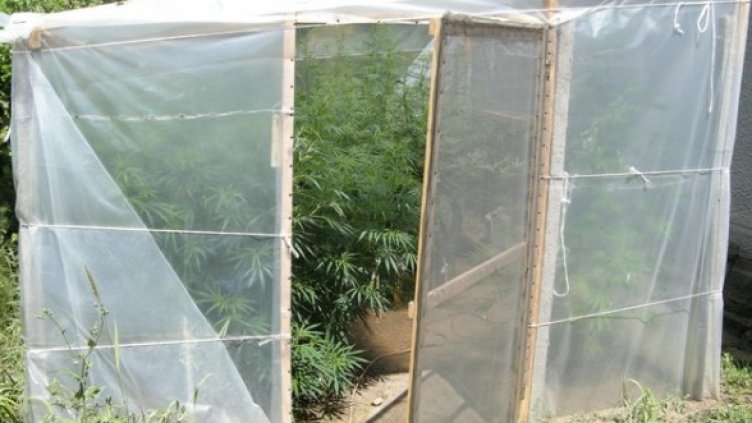 Снимка: МВР