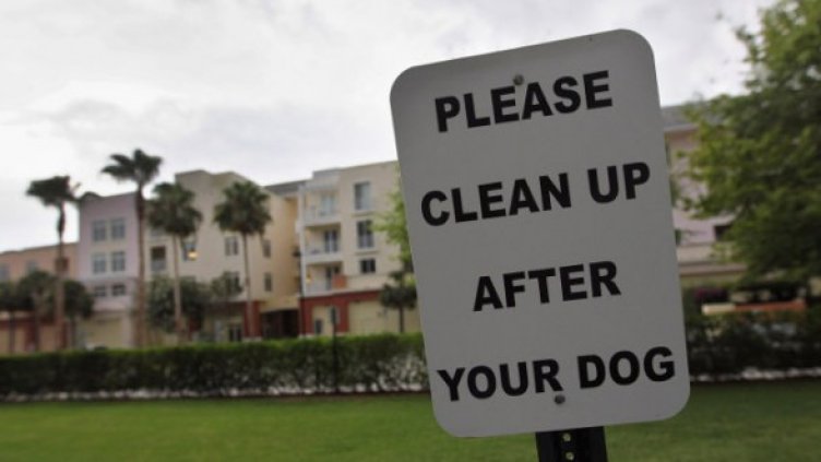 Снимка: Архив Getty Images/Guliver Photos