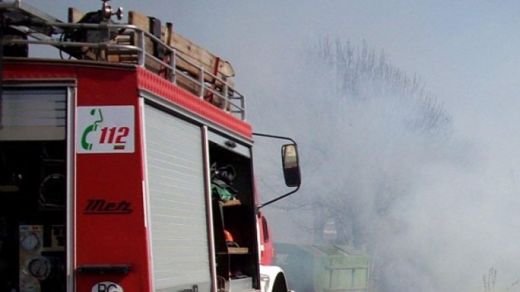 Снимка: Архив Булфото