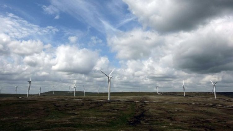 Снимка: Getty Images/Guliver Photos