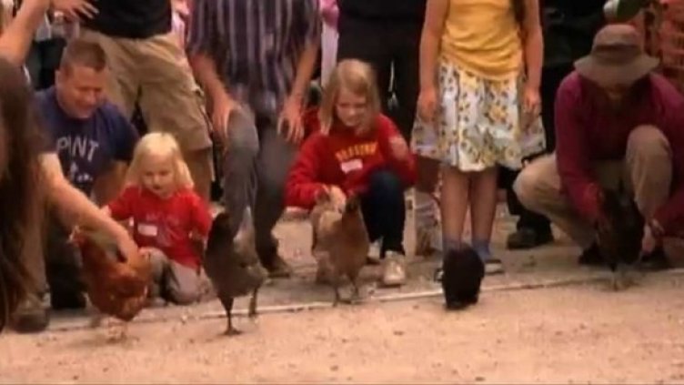 Кудкудякаща публика, блеещи кокошки. Това е Световно