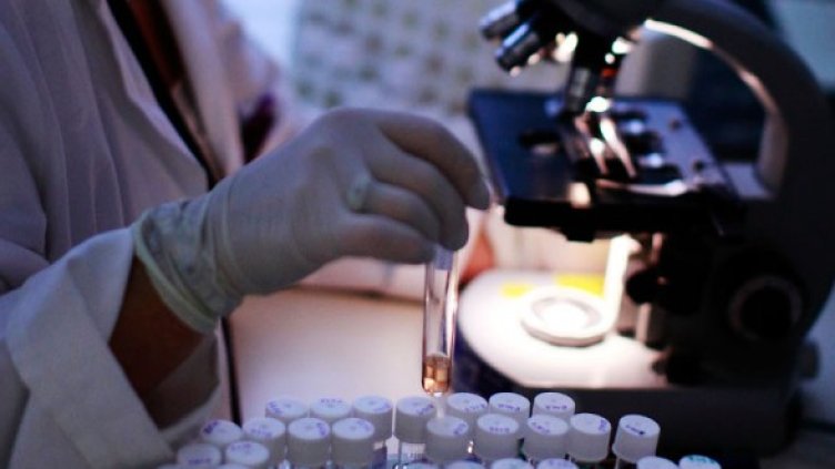 Снимка: Getty Images/Guliver Photos