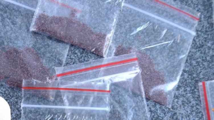 Снимка: МВР-Ямбол