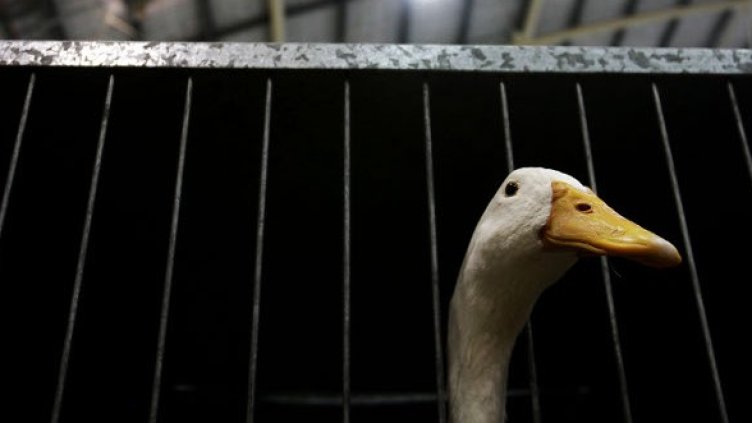 Снимка: Getty Images/Guliver Photos