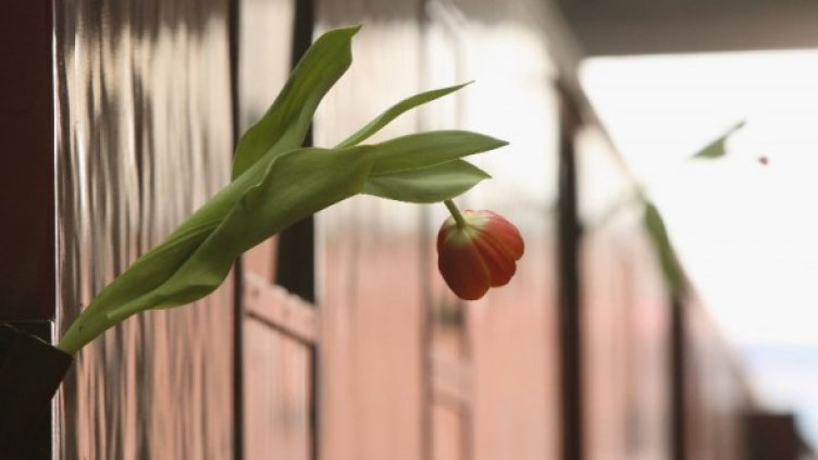 Снимка: Getty Images/Guliver Photos