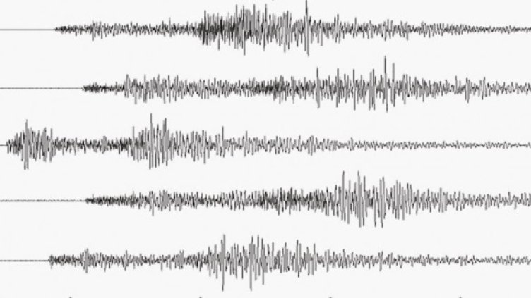 Снимка: Getty Images/Guliver Photos