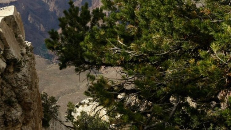 Снимка: Getty Images/Guliver Photos