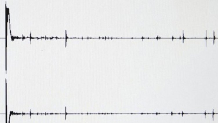 Снимка: Getty Images/Guliver Photos