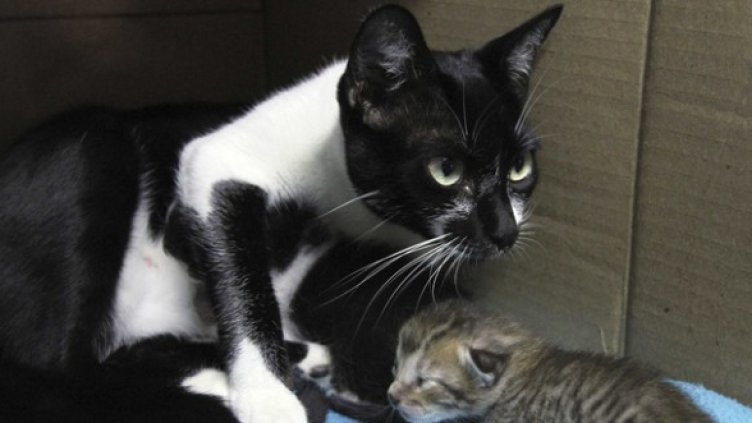 Снимка: Reuters