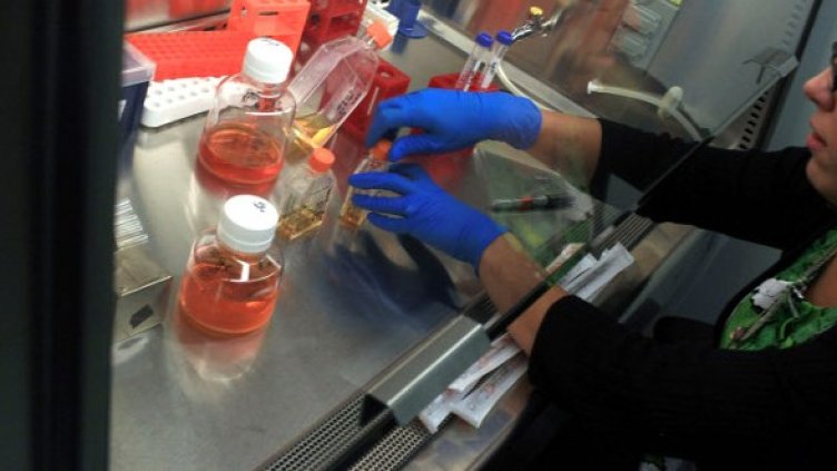 Снимка: Getty Images/Guliver Photos